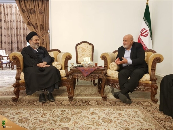 انتقاد سفیر ایران در عراق از تخلفات گسترده کاروان‌های آزادبر